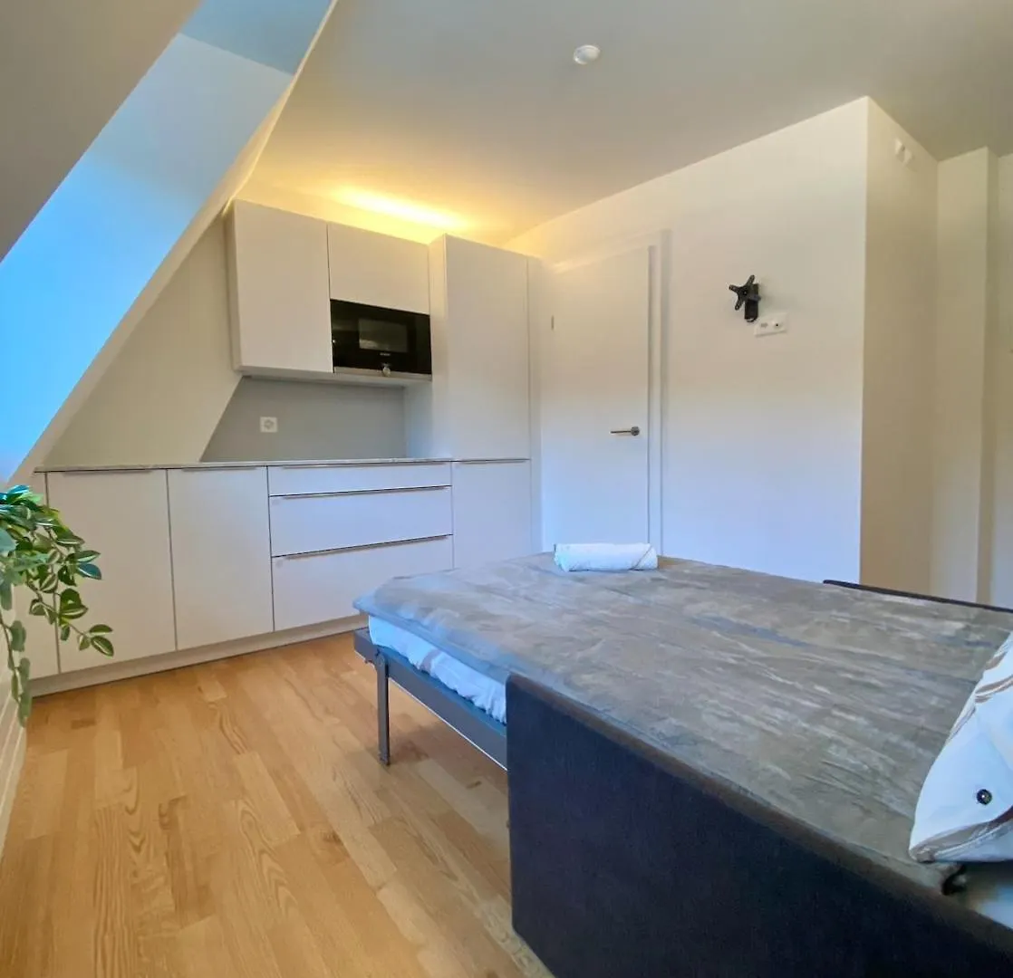 City Studio Zurich Apartment